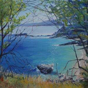 The Cove