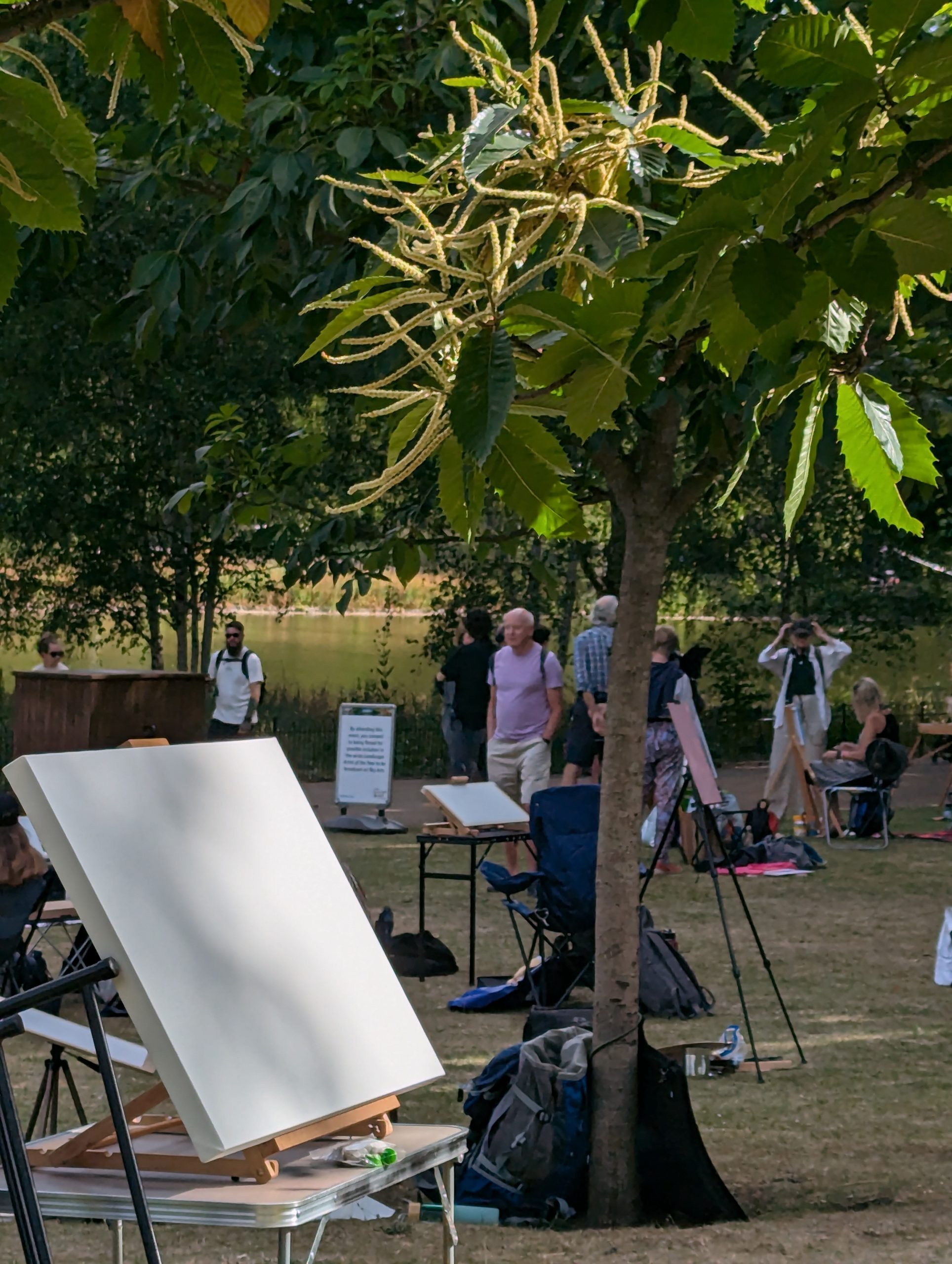 View from the Blue Bridge - Image 4