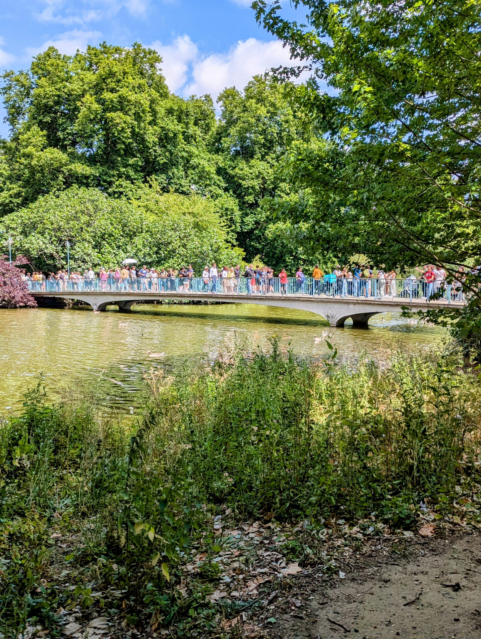 The Bridge - Image 2